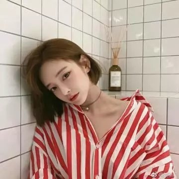 生命之环